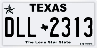 TX license plate DLL2313