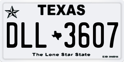 TX license plate DLL3607