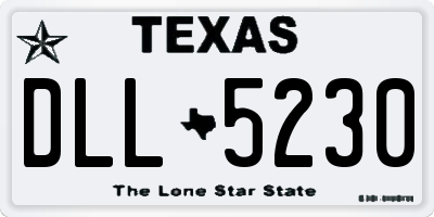 TX license plate DLL5230