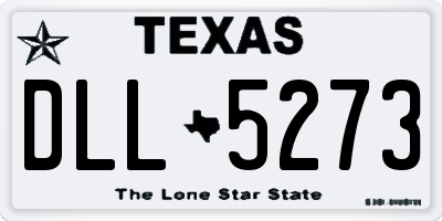 TX license plate DLL5273