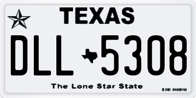 TX license plate DLL5308
