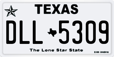 TX license plate DLL5309
