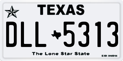 TX license plate DLL5313