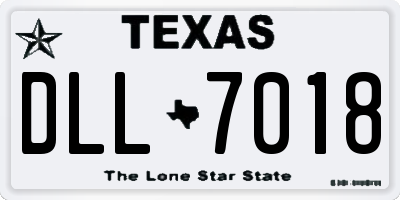 TX license plate DLL7018