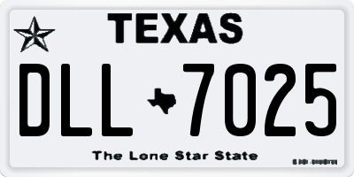 TX license plate DLL7025