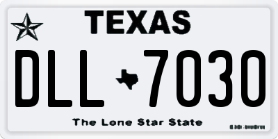 TX license plate DLL7030