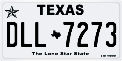 TX license plate DLL7273