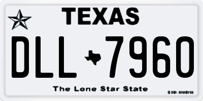 TX license plate DLL7960