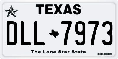 TX license plate DLL7973