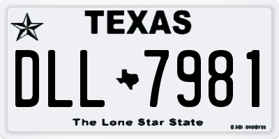 TX license plate DLL7981