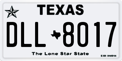 TX license plate DLL8017
