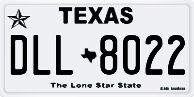 TX license plate DLL8022