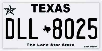 TX license plate DLL8025