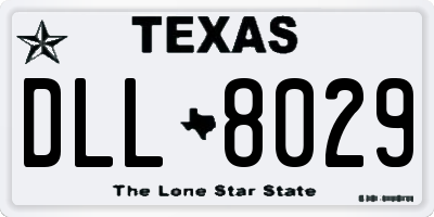 TX license plate DLL8029