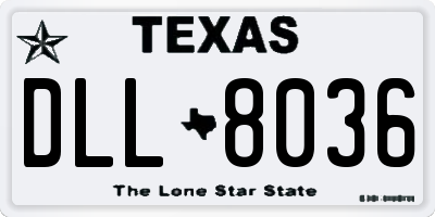 TX license plate DLL8036