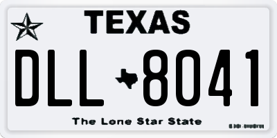 TX license plate DLL8041