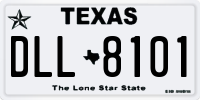TX license plate DLL8101