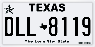TX license plate DLL8119