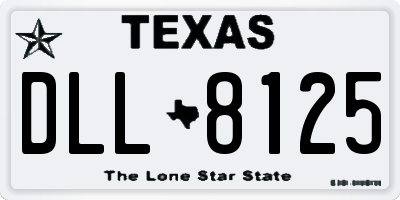 TX license plate DLL8125