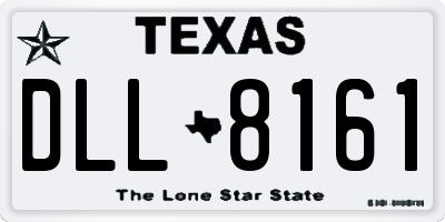 TX license plate DLL8161