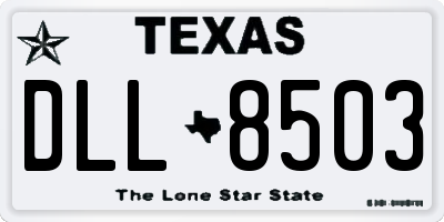 TX license plate DLL8503