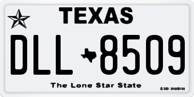 TX license plate DLL8509