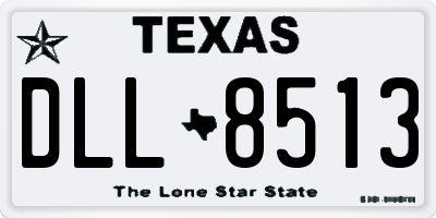 TX license plate DLL8513