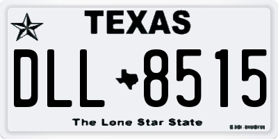 TX license plate DLL8515