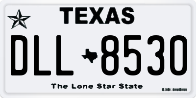 TX license plate DLL8530