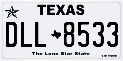 TX license plate DLL8533