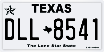 TX license plate DLL8541