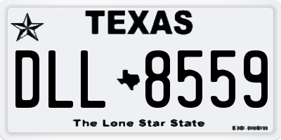 TX license plate DLL8559