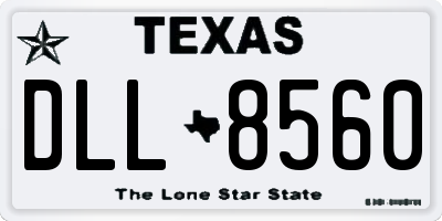 TX license plate DLL8560