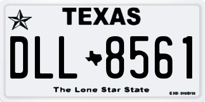 TX license plate DLL8561