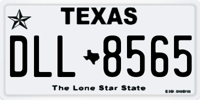 TX license plate DLL8565