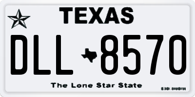 TX license plate DLL8570