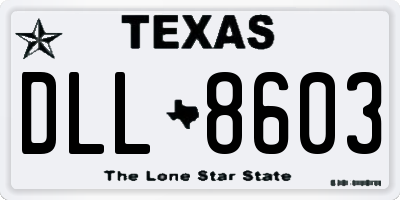 TX license plate DLL8603