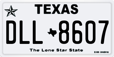TX license plate DLL8607