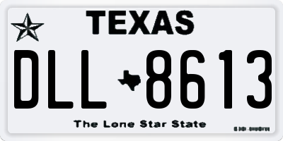 TX license plate DLL8613