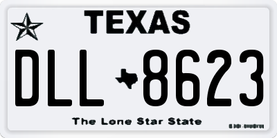 TX license plate DLL8623