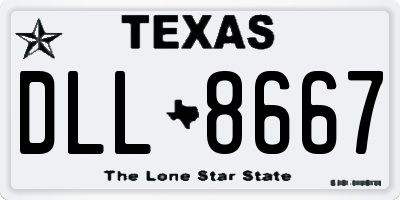 TX license plate DLL8667