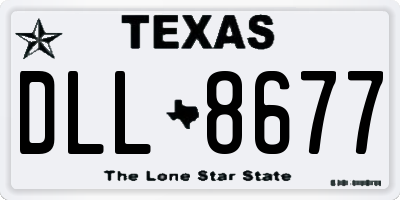 TX license plate DLL8677