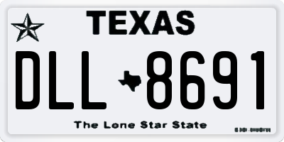 TX license plate DLL8691