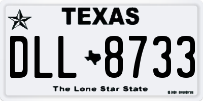 TX license plate DLL8733