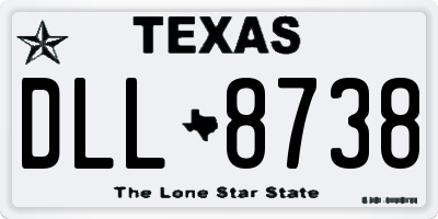 TX license plate DLL8738