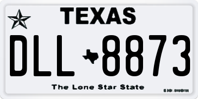 TX license plate DLL8873