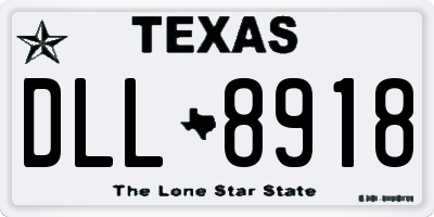 TX license plate DLL8918