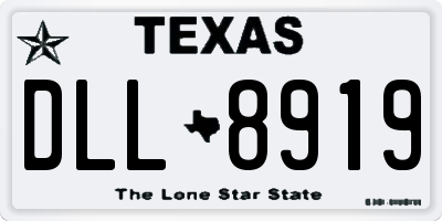 TX license plate DLL8919