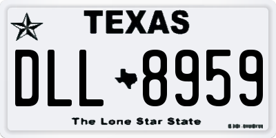 TX license plate DLL8959
