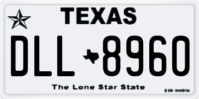 TX license plate DLL8960